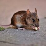 Oryginalne okulary wędkarskie