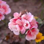 Kolorowanki online – koloruj w sieci i twórz pełne barw chwile z dzieckiem